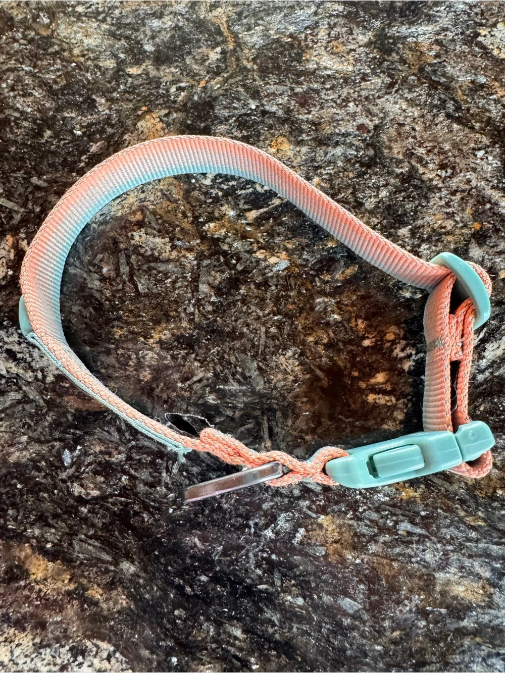 Ruffwear Two-Tone Coral and Mint Adjustable Dog Collar S